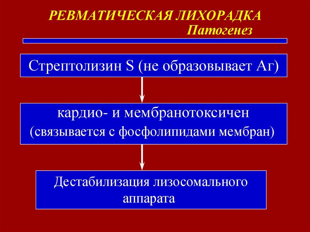 острая ревматическая лихорадка патогенез