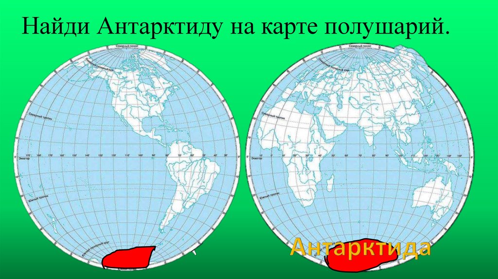 На каком материке серый волк восточного полушария. Антарктида на карте полушарий. Антарктида на полушарии. Карта полушарий с материками. Антарктида материк на карте полушарий.