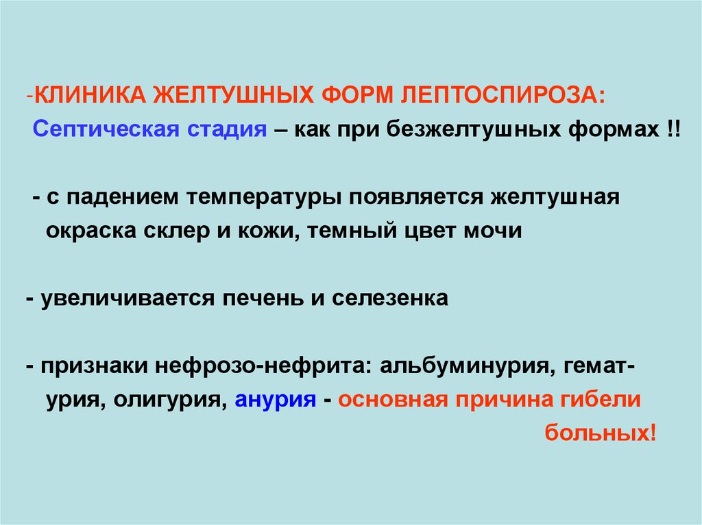 Клиническая картина лептоспироза