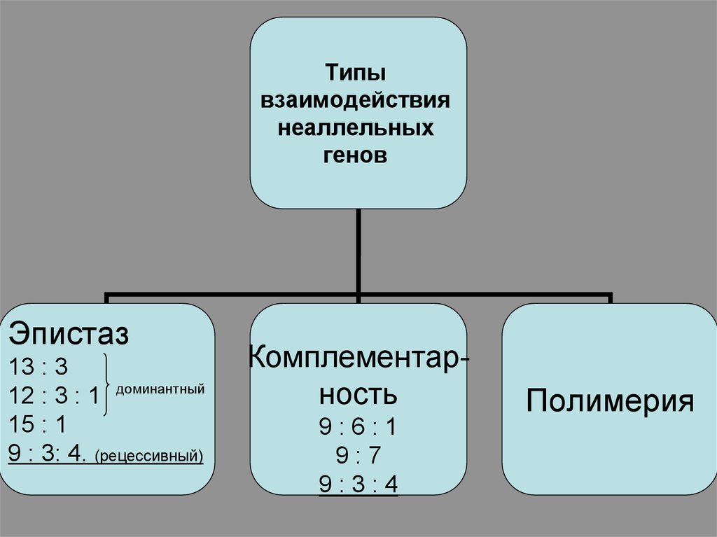 Типы взаимодействия генов. Типы расщепления в генетике. Типы взаимодействия неаллельных генов.