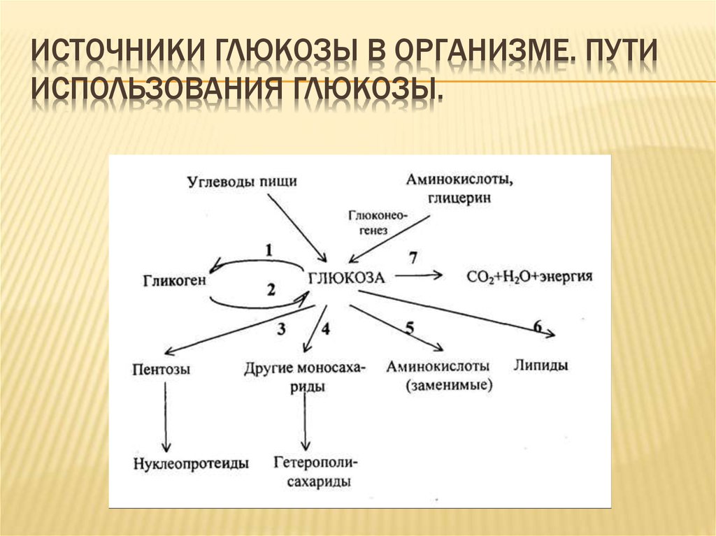 Схема применения глюкозы