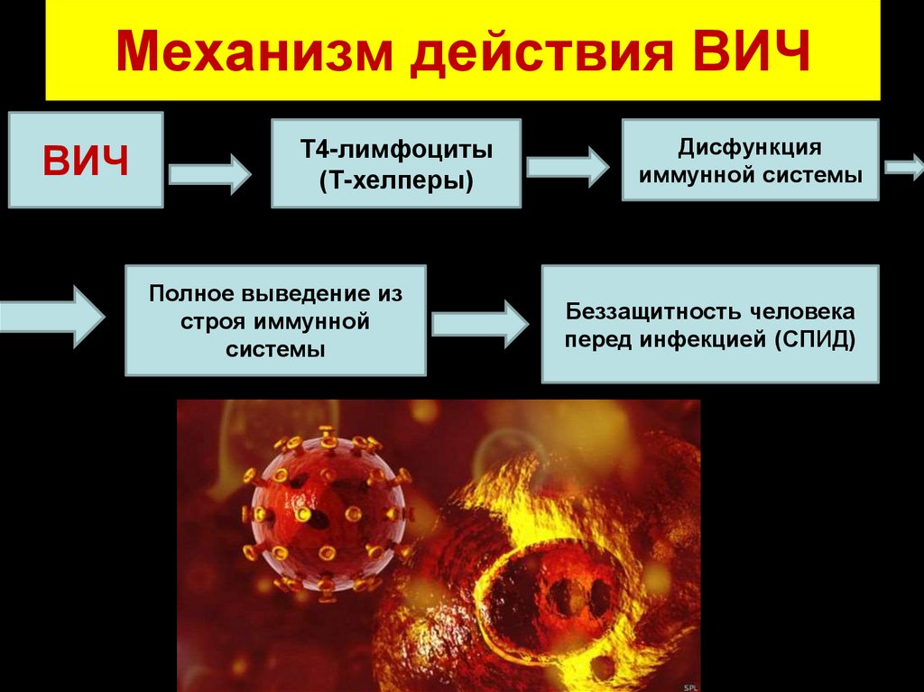 Поражения иммунной системы