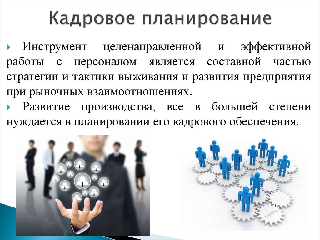 Кадровое планирование. Кадровое планирование в организации. Кадровое планирование персонала. Кадровое планирование на предприятии. Кадровый план.