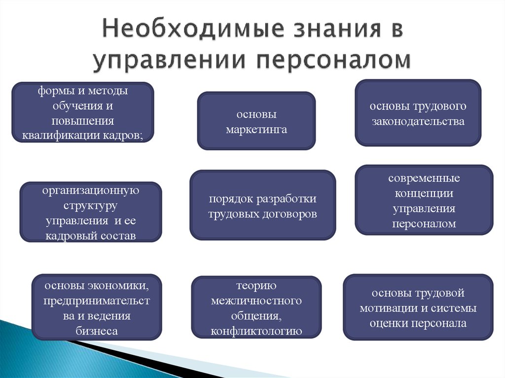 Управление знаниями персонала. Специальность управление персоналом, профессия. Знания в области управления персоналом. Специальности менеджмент управления персоналом. Управление персоналом специальность кем работать.