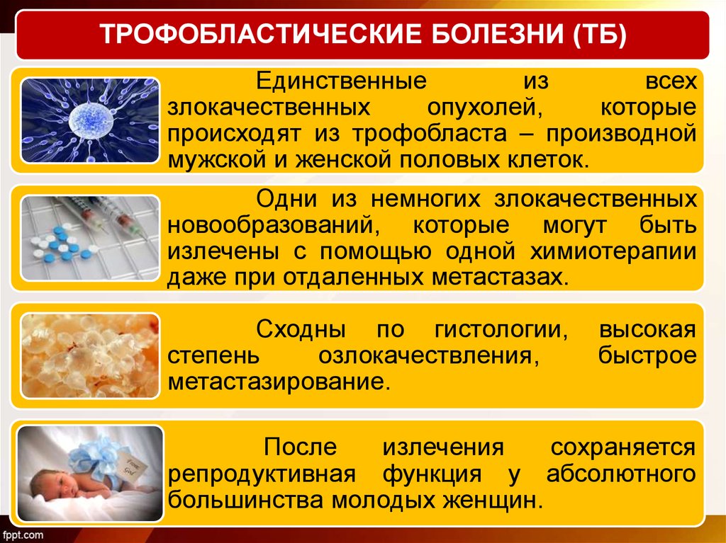 Болезнь фридрейха презентация