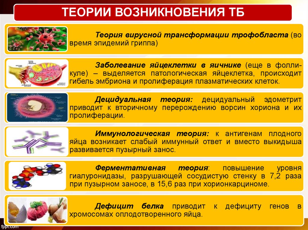 Возникновения заболевания в основном заболевание. Теории возникновения болезней. Концепции происхождения болезней. Теории возникновения трофобластической болезни. Теории возникновения болезн.