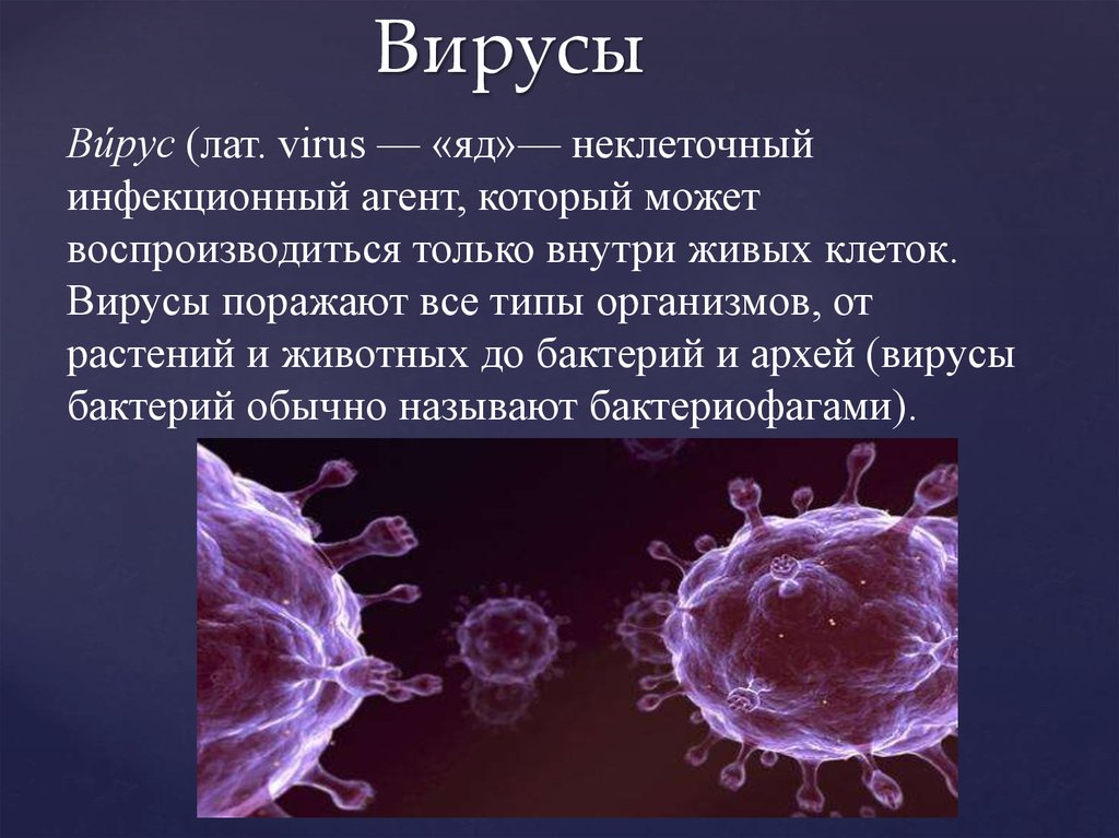 Причины заболеваний вирусов