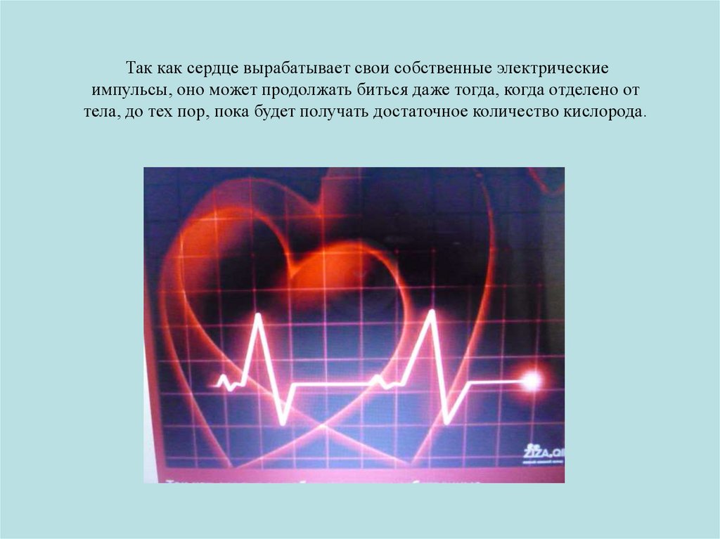 Сердце приведет часть 1. Электрический Импульс сердца. Электричество и сердце. Сердечные импульсы сердца. Сердце человека вырабатывает электрические импульсы.