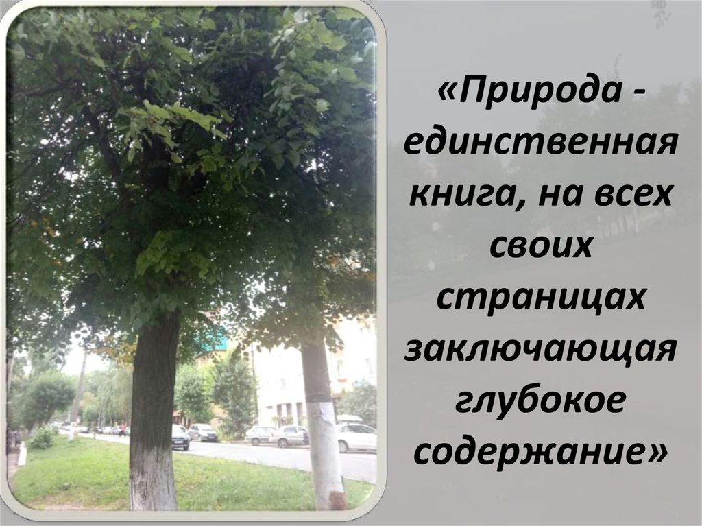 «Природа - единственная книга, на всех своих страницах заключающая глубокое содержание»