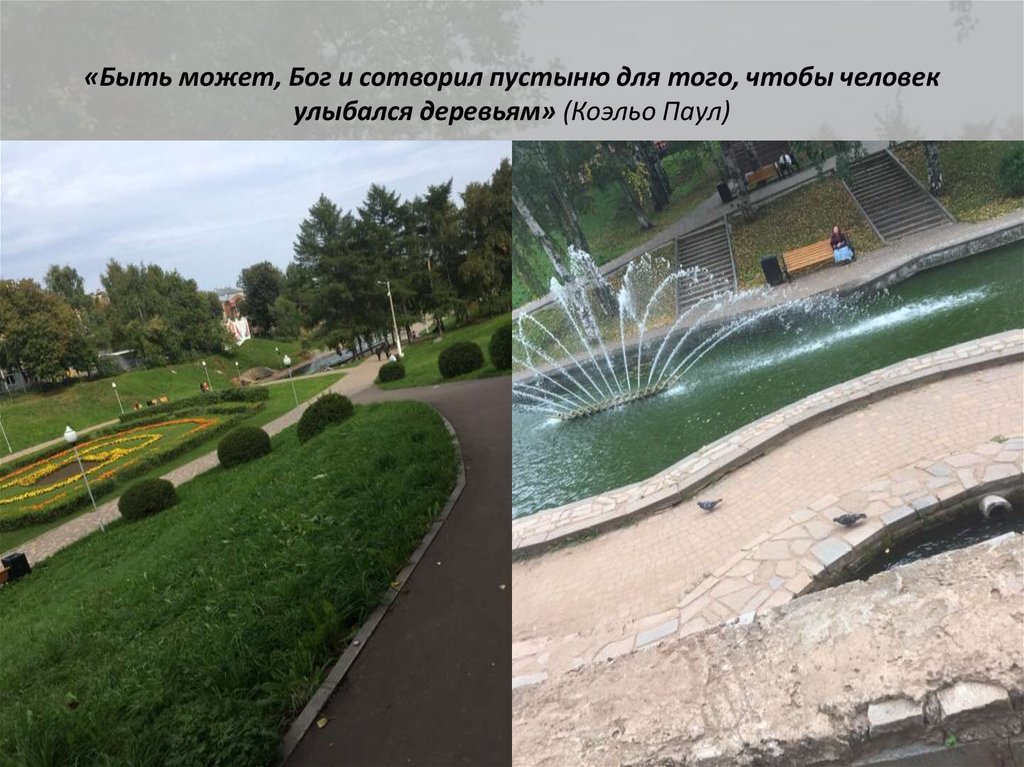 «Быть может, Бог и сотворил пустыню для того, чтобы человек улыбался деревьям» (Коэльо Паул)