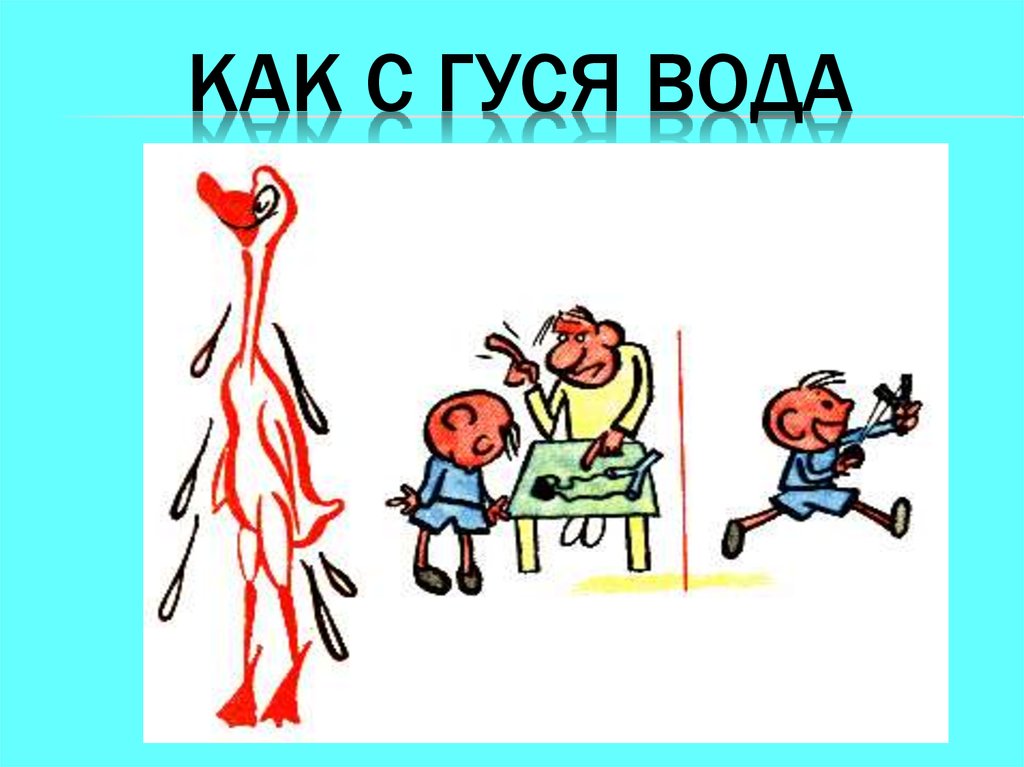 Фразеологизм как две капли. Как с гуся вода. Как с гуся вода фразеологизм. Картинка к фразеологизму как с гуся вода. Как с гуся вода рисунок.