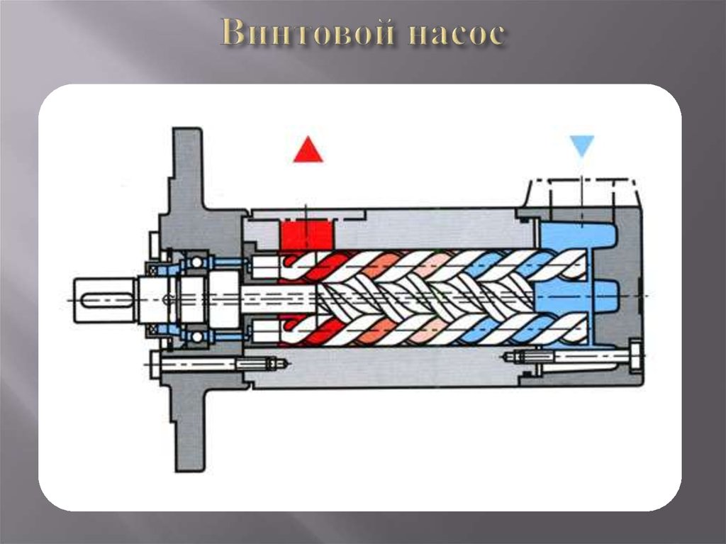 Винтовой насос схема. Ротор винтового насоса. Шнековый насос NETZSCH nm031 чертеж. Винтовой насос гидравлика. Шнековый ротор насоса.