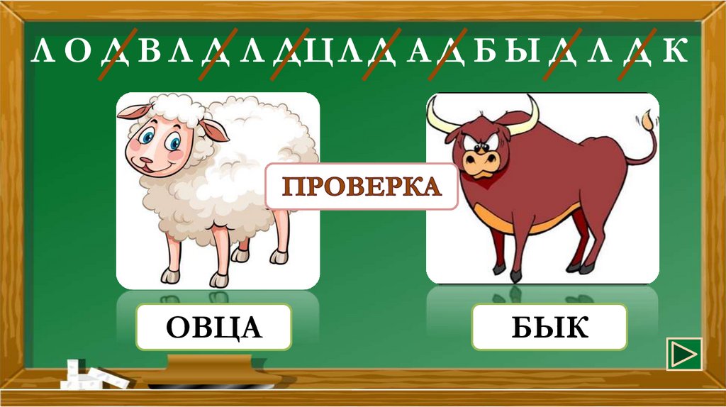 Овец букв. Бык и Овечка. Совместимость овцы. Бык и барашек. Совместимость бык бык овца.