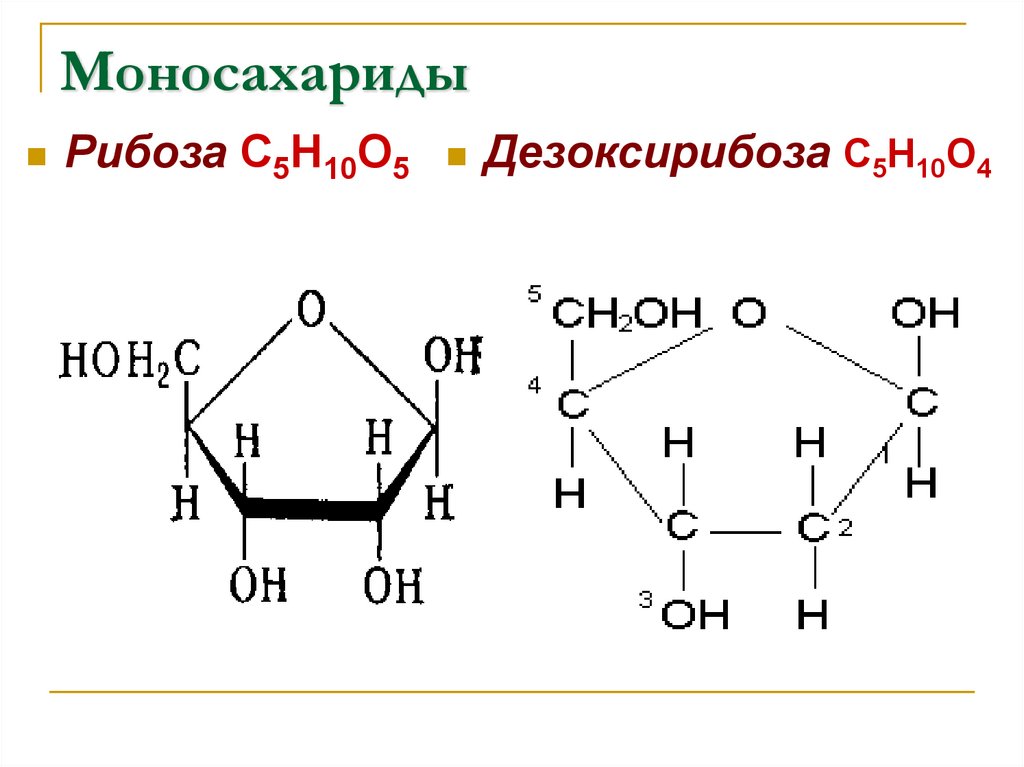 Строение рибозы. Моносахариды рибоза. Рибоза строение молекулы. Дезоксирибоза строение молекулы. Молекулярная формула рибозы.