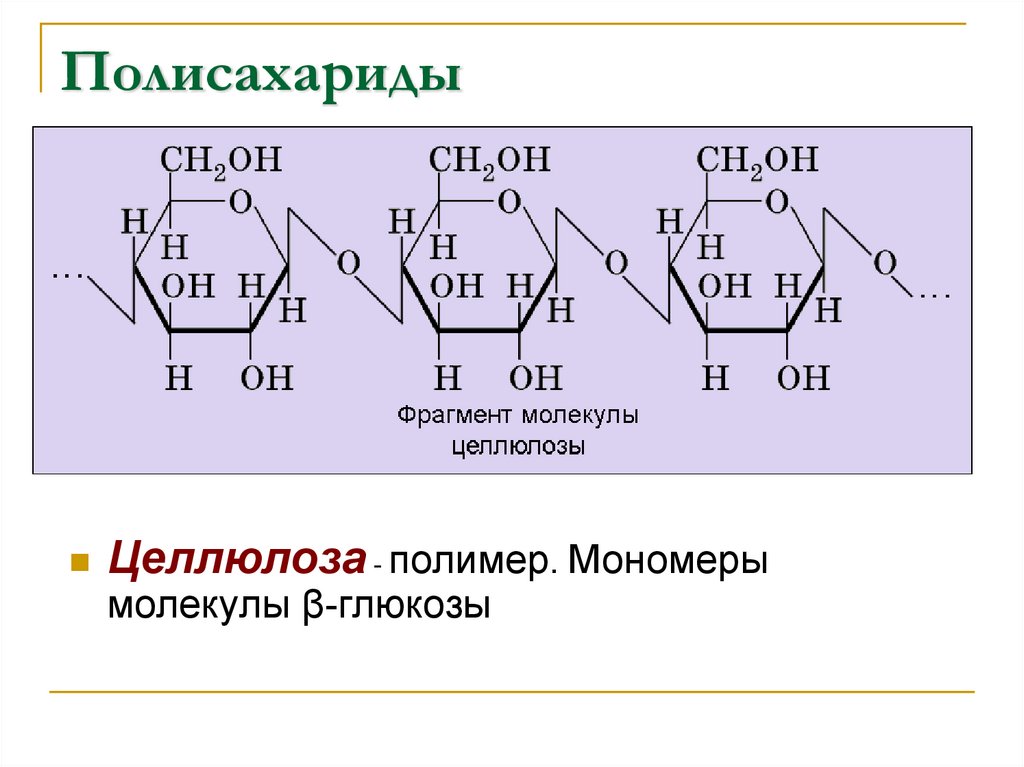 Мономером молекул полисахаридов являются