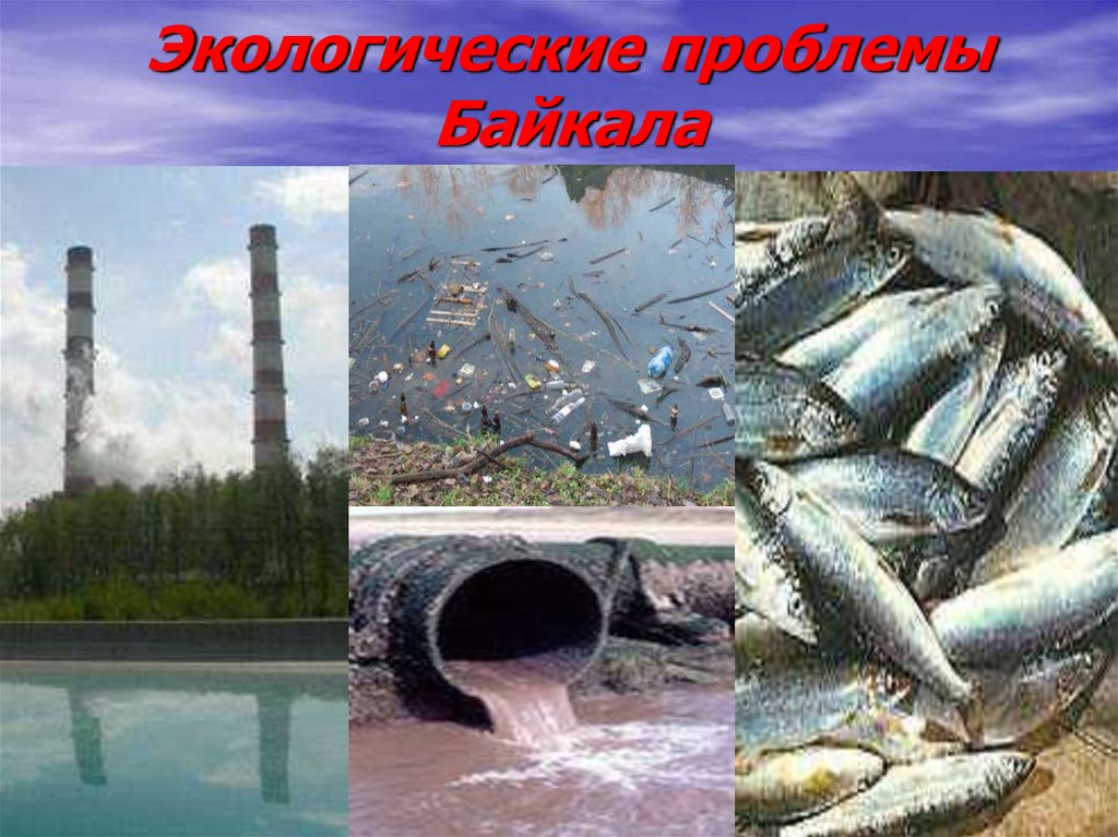 Экологические проблемы южной сибири. Загрязнение озера Байкал. Экологические проблемы. Экологические проблемы Байкала. Экологическая ситуация это.