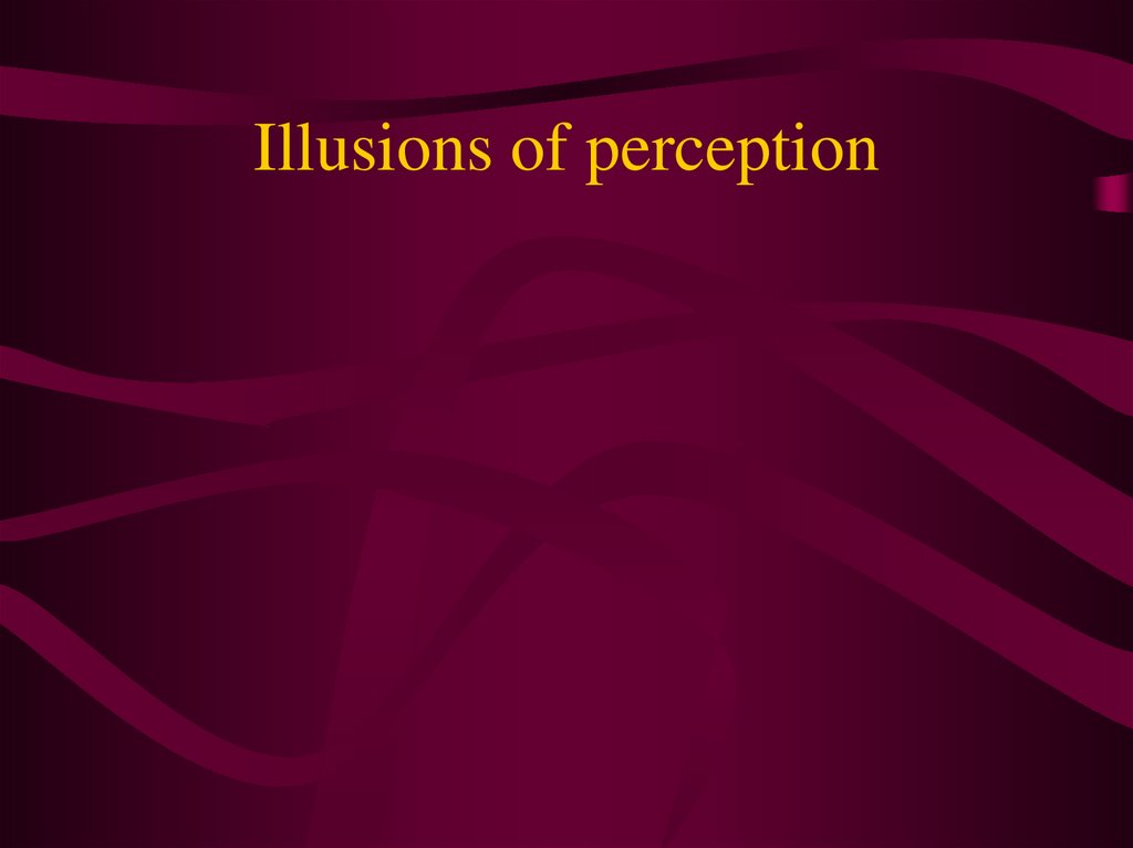 Illusions of perception