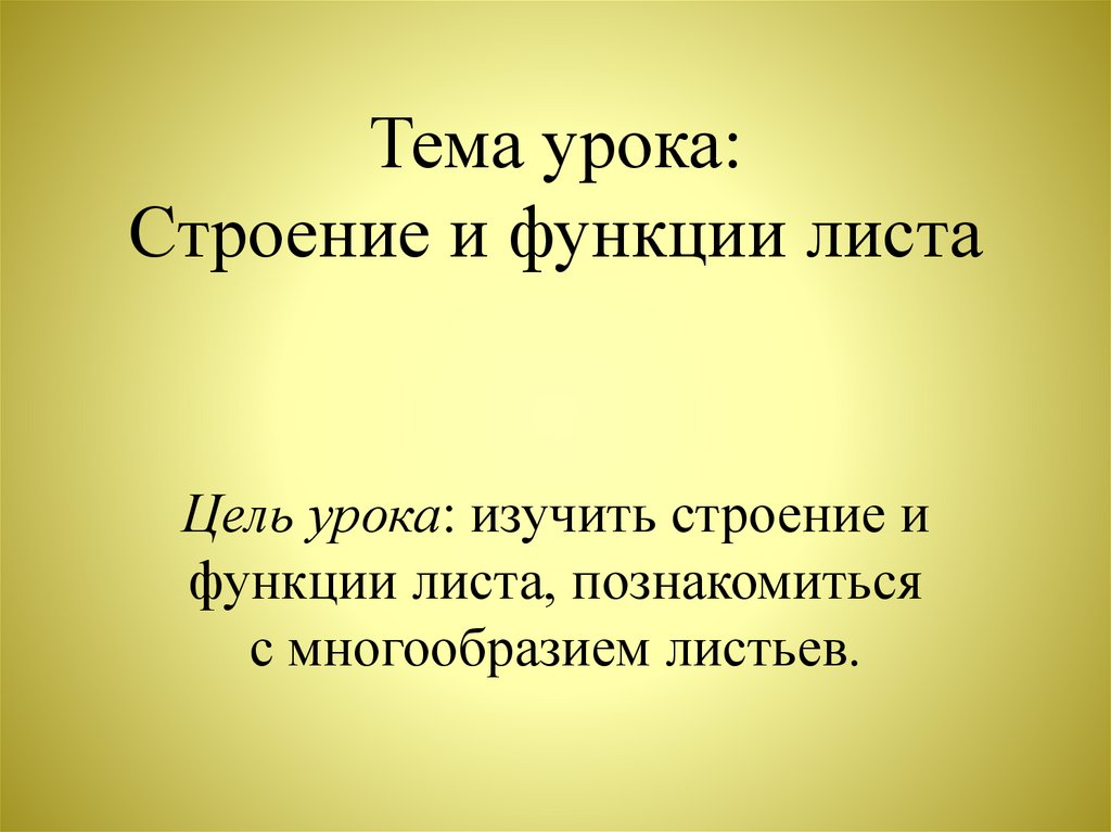 Размер листа презентации в мм