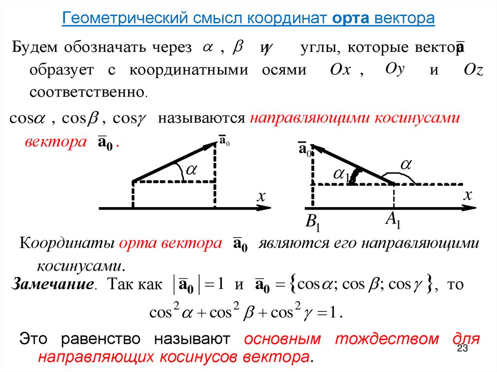 Вывести элементы вектора. Геометрический смысл координат точки представляет собой. Геометрический смысл ОРТ вектора. Смысл координат вектора. Орта вектора.