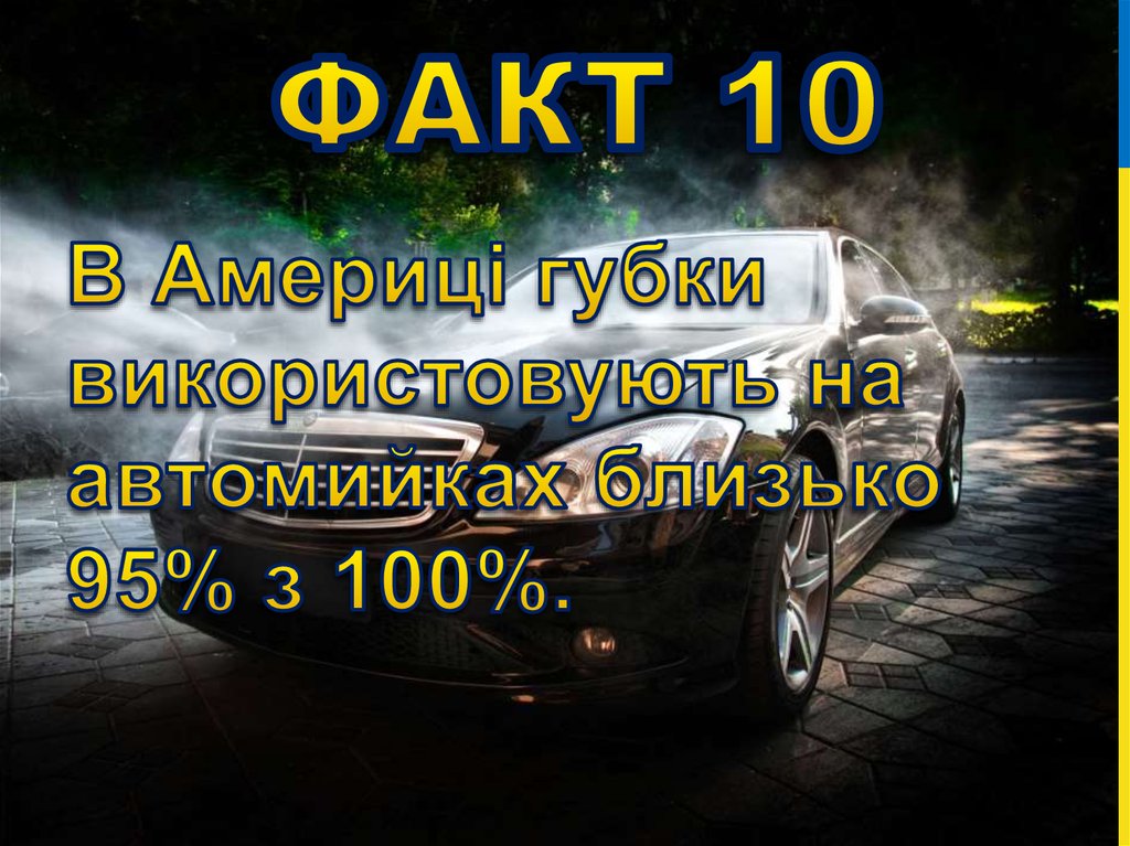 Факт 10