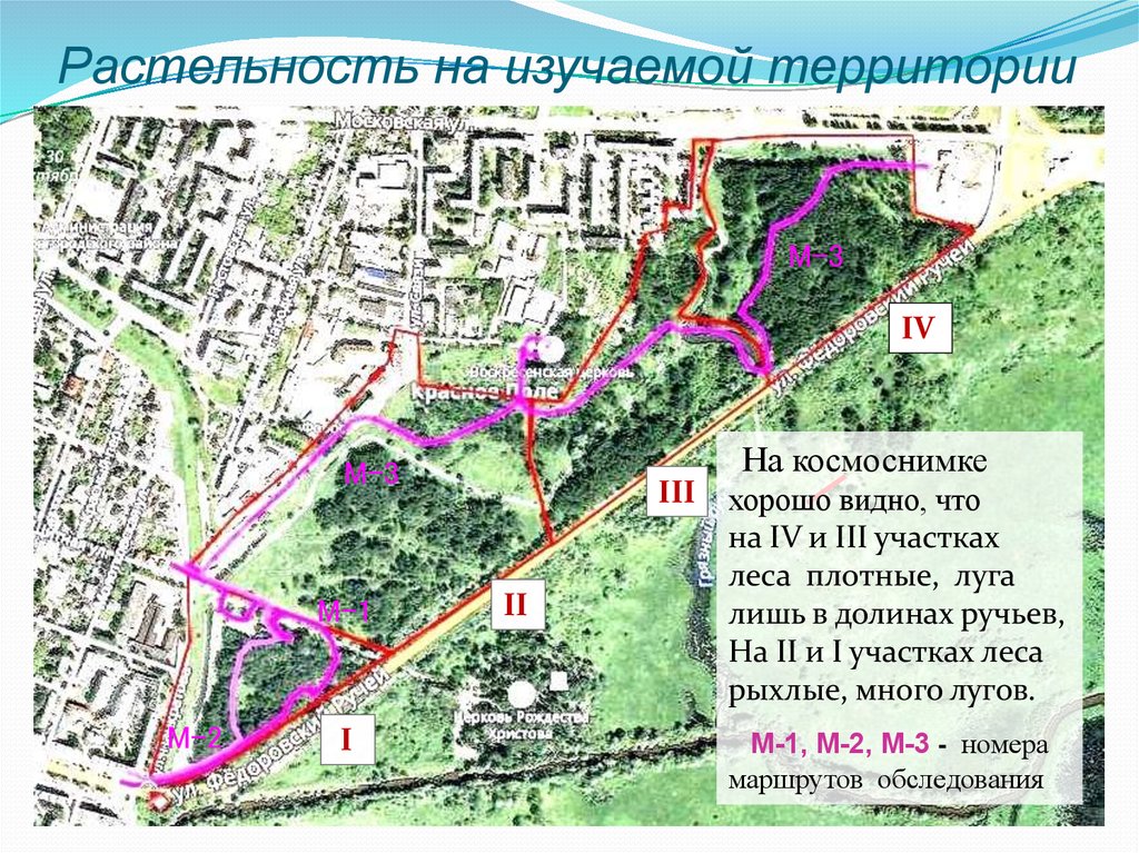 Территория изучения. Космоснимок Луга. Карта Долины ручьёв парк. Анализ территории по космоснимкам. . Какая территория не освоена.