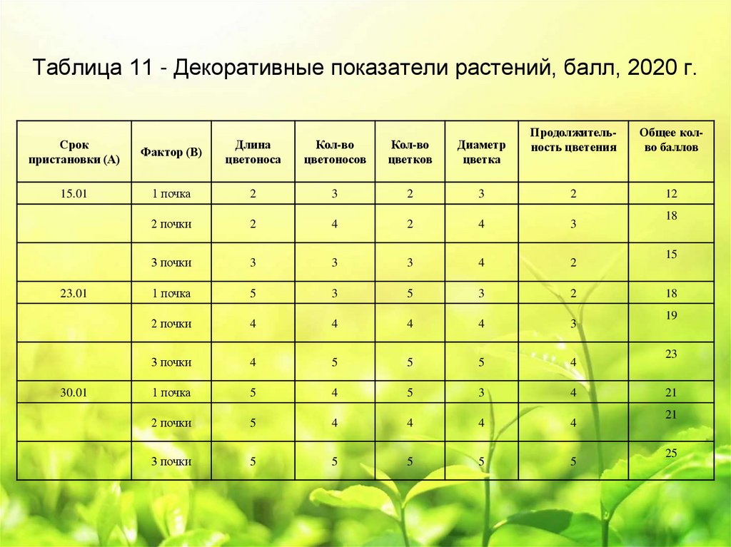 Таблица 11 - Декоративные показатели растений, балл, 2020 г.