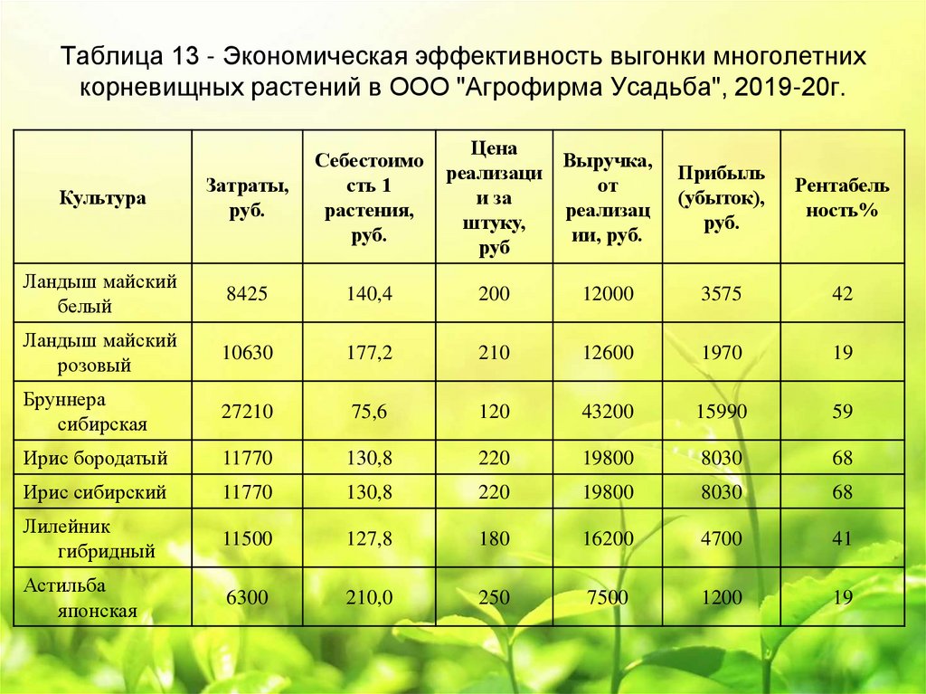 Таблица 13 - Экономическая эффективность выгонки многолетних корневищных растений в ООО "Агрофирма Усадьба", 2019-20г.