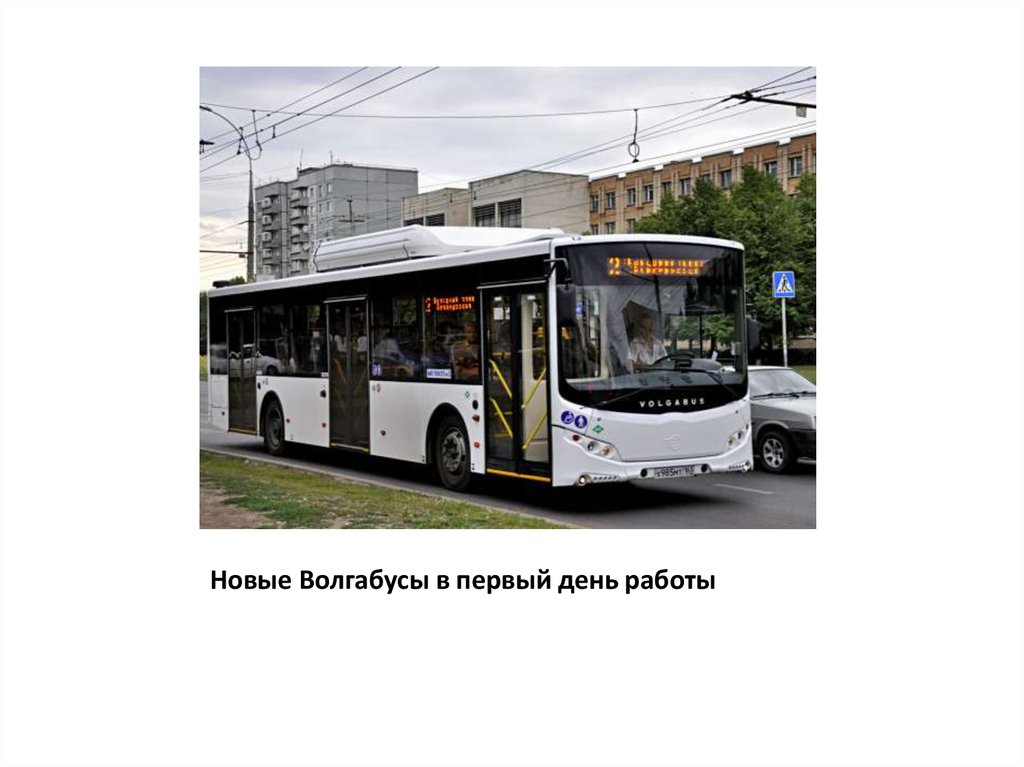 Новые Волгабусы в первый день работы