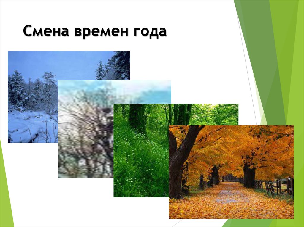 Влияние смены времен года на человека. Смена времен года. Смена времен года в хорошем качестве. Иллюстрация на тему влияние смены времен года на жизнь человека. Перемена времен года.