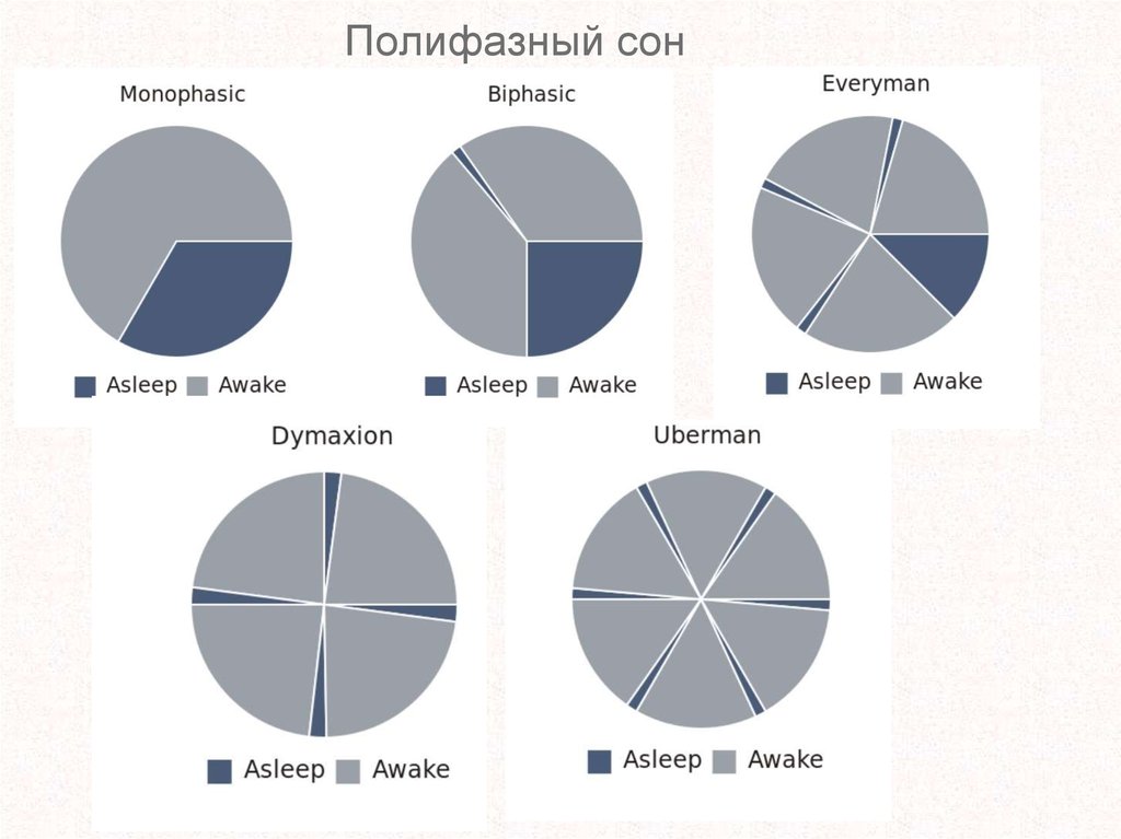 Схемы полифазного сна