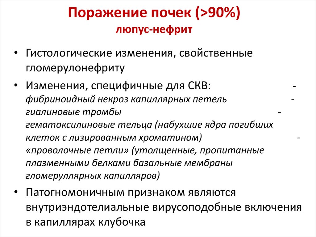 Люпус нефрит презентация