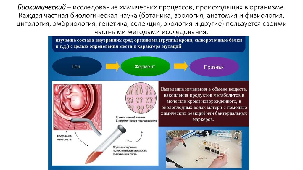 Биохимические методы исследования