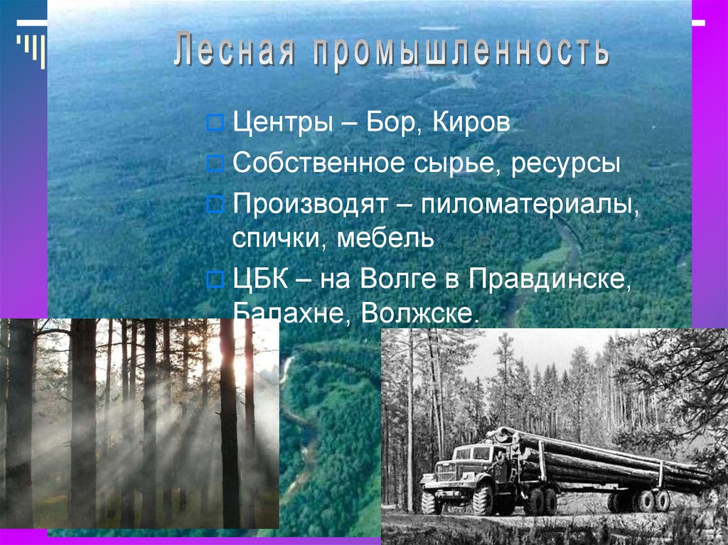 Центры лесной промышленности. Лесная промышленность Волго Вятского района. Лесная отрасль Волго Вятского района. Центры Лесной промышленности в Волго Вятском районе. Отрасли Волго Вятского экономического района Лесная промышленность.