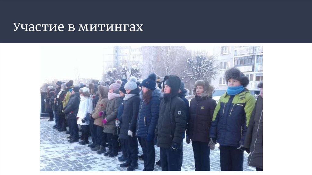 Участие в митингах