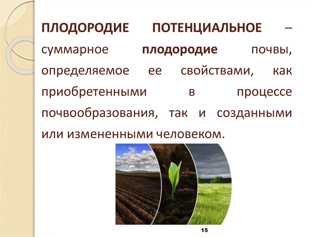 Регионы россии по степени уменьшения естественного плодородия. Эффективное плодородие почвы это. Степень плодородия почв.