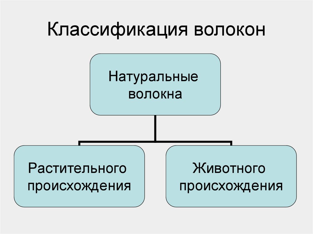 Волокна животного происхождения относятся к волокнам. Классификация овечьей шерсти. Волокна растительного происхождения. Классификация волокон. Карбидокремниевое волокно классификация.