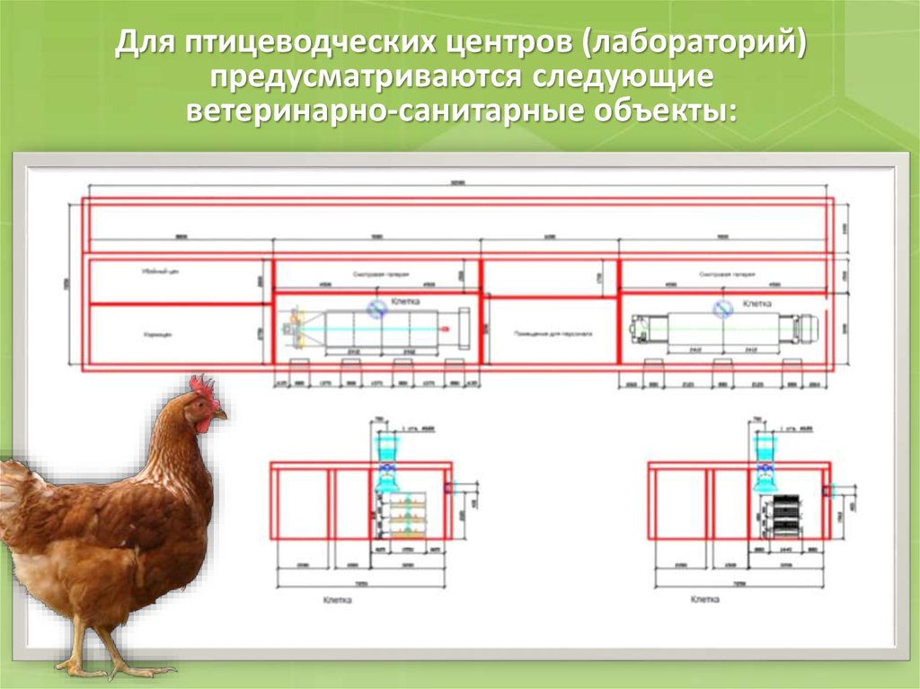 Закон о птицеводстве в частном доме новый