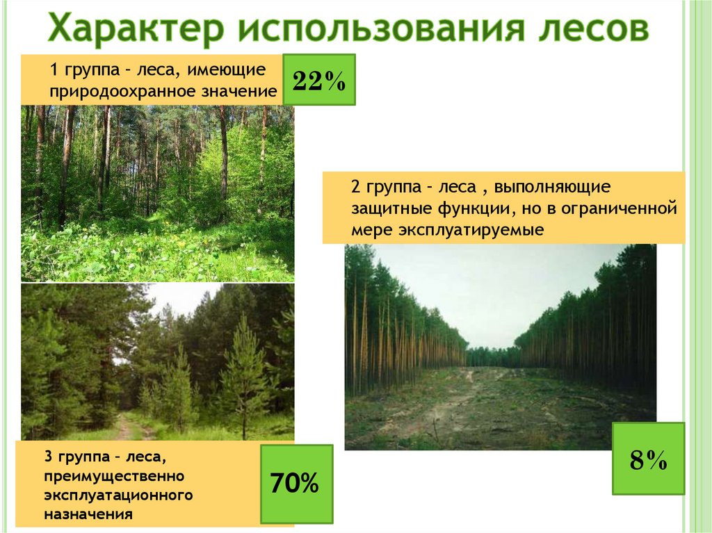 Лесная промышленность 9 класс. Три группы лесов. Леса второй группы. Леса эксплуатационного назначения. Группы лесов лесного фонда.