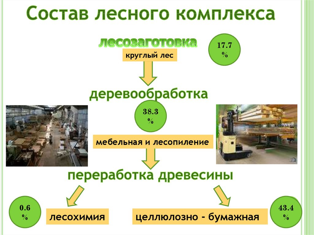 Презентация лесопромышленный комплекс россии