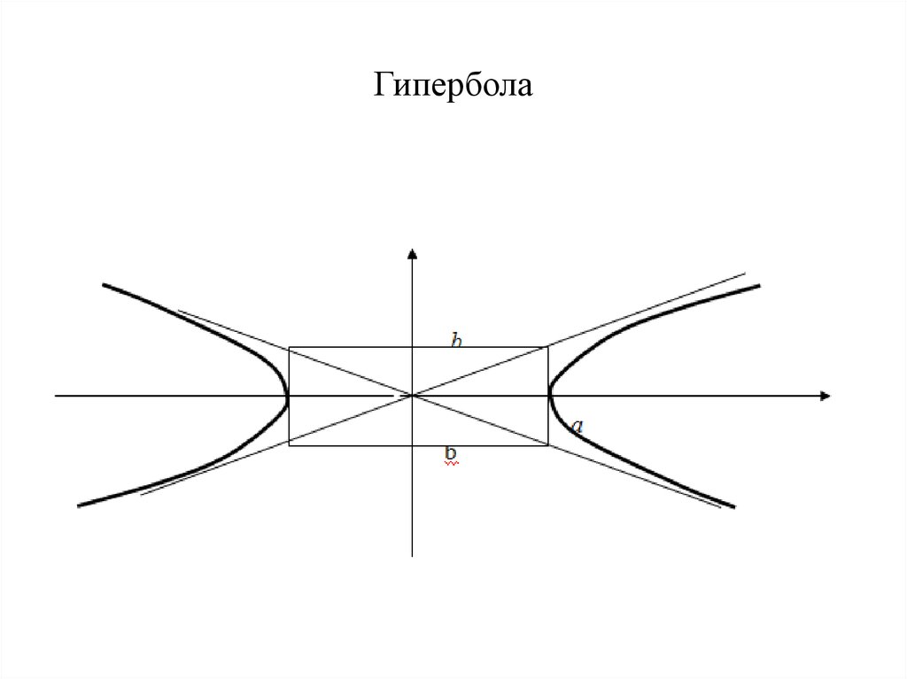 Примеры использования гипербола. Гипербола 2/x-2. Гипербола ветви вверх. Гипербола чертеж. Построение гиперболы.