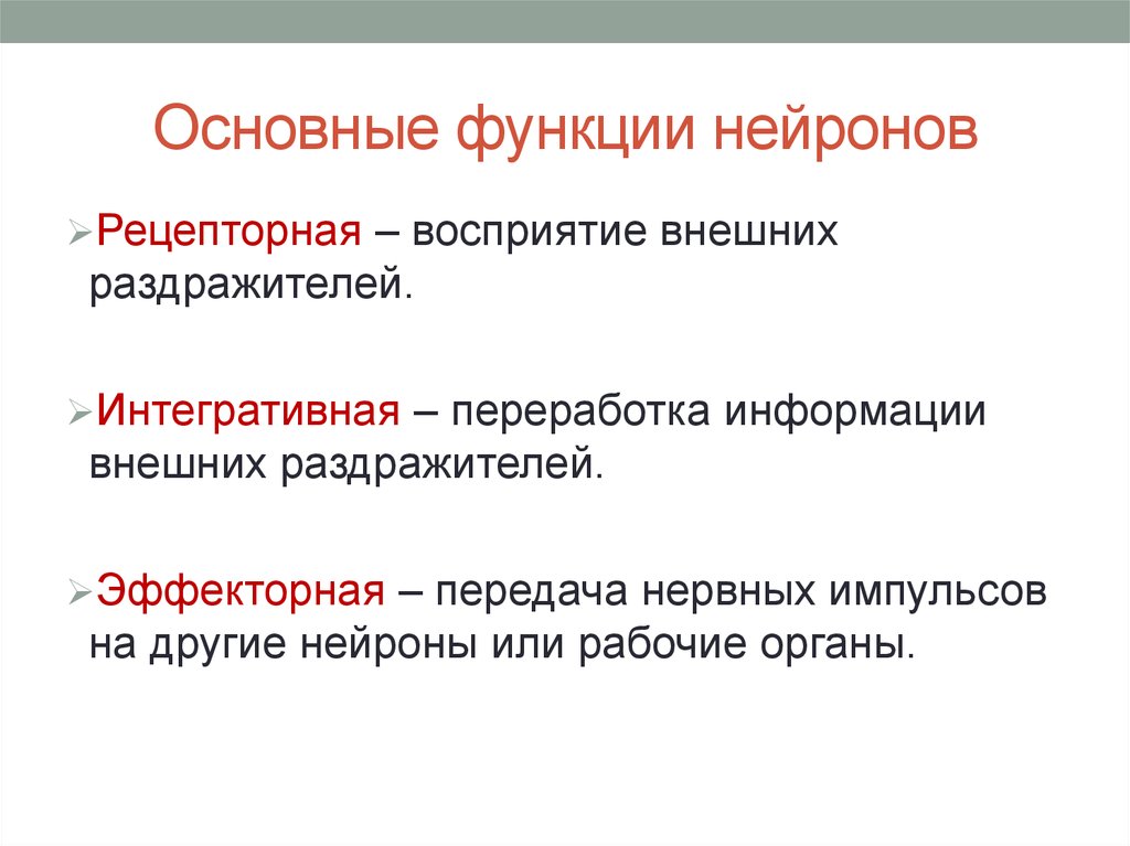 В функции нейронов входит