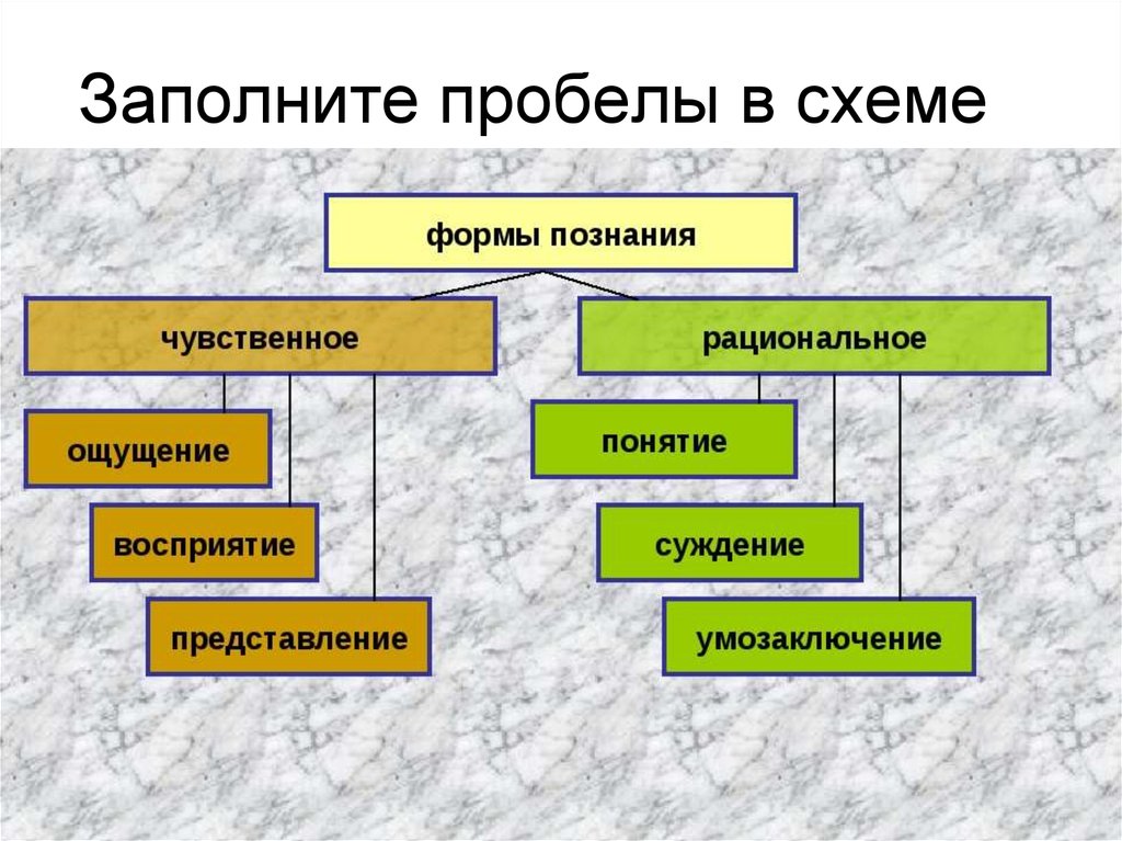 Заполните пробел в схеме