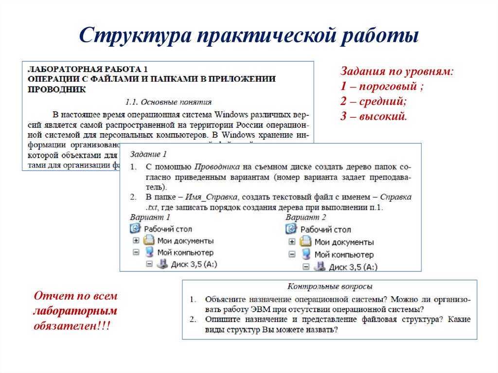 Практический структура. Структура практической работы. Структура практической деятельности. Виды практических работ. Структура практического задания.