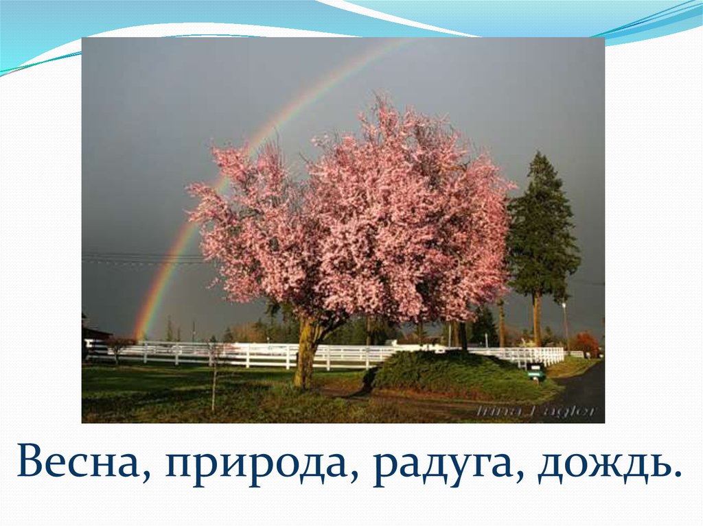 Весна, природа, радуга, дождь.