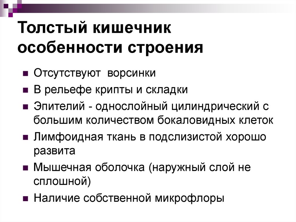 Толще значение. Особенности Толстого кишечника. Толстый кишечник особенности строения. Особенности строения толстой кишки. Особенности строения Толстого кишечника.