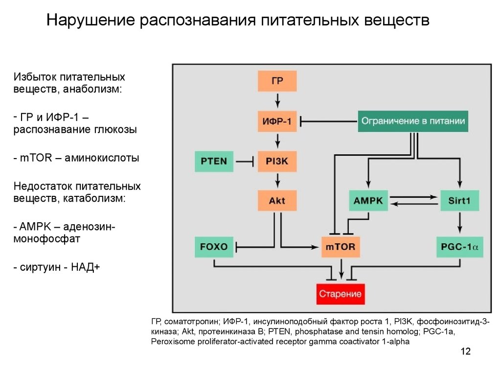 Нарушение распознавания