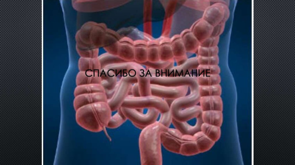 Спасибо за внимание