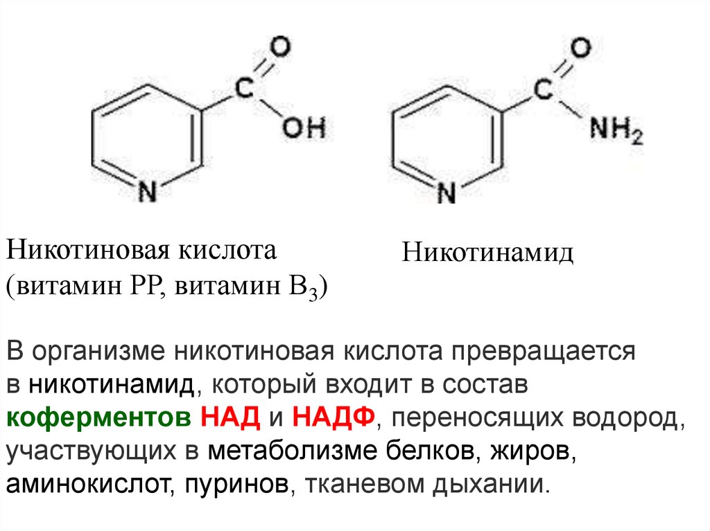 Никотиновая кислота витамин. Формула витамина рр никотиновая кислота. Витамин рр структурная формула. Никотиновая кислота формула химическая. Никотиновая кислота формула структурная.