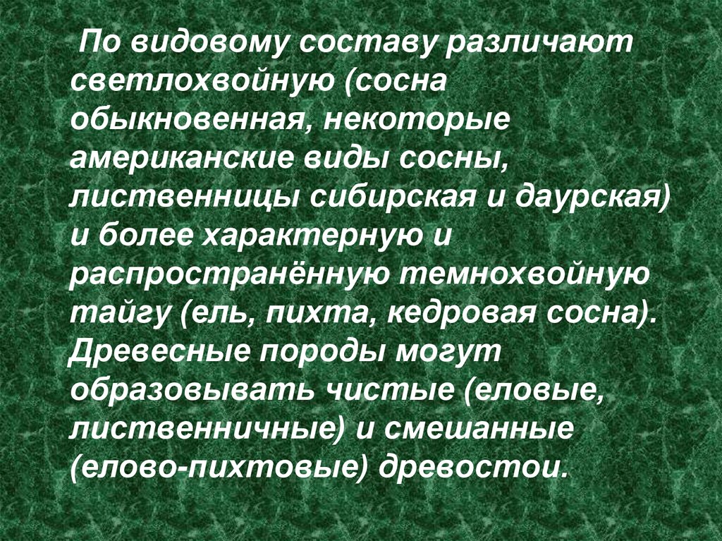 Более характерен. Видовой состав тайги. Различают светлохвойную тайгу. По видовому. Деятельность человека в светлохвойной чаще.