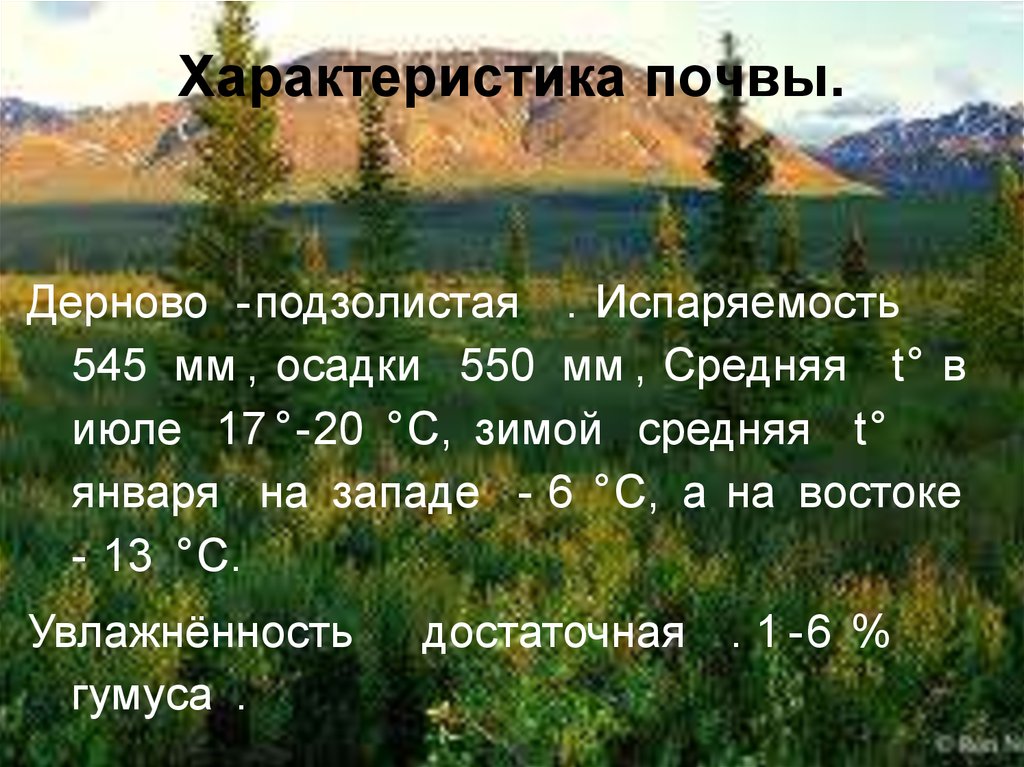 Осадки почвы. Дерново-подзолистые почвы испаряемость в мм. Испаримость подзолистые почвы. Дерново подзолотистыепочвы осадки в мм. Дерново-подзолистые почвы осадки в мм.